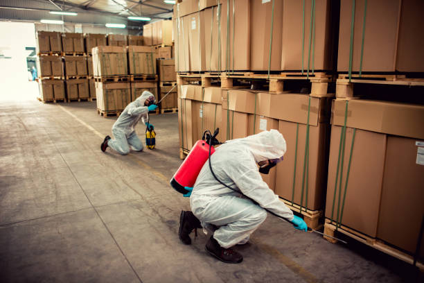 Wasp Removal Services in Temple, TX