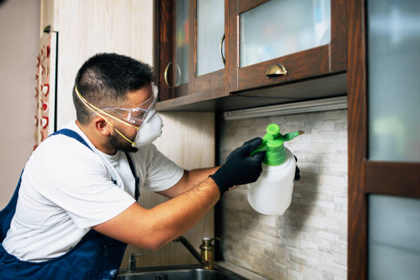 Best Exterminator Services  in Temple, TX