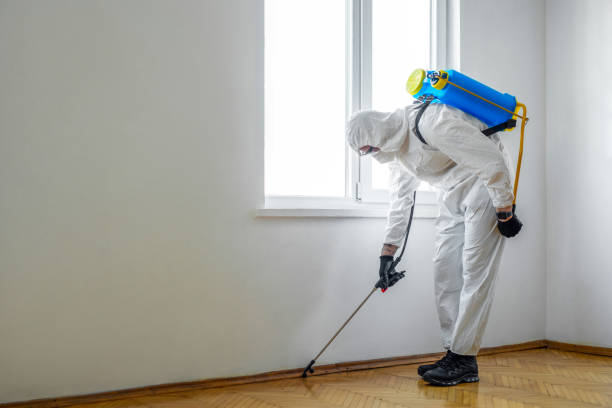 Insect Control in Temple, TX