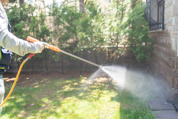 Best Residential Pest Control  in Temple, TX