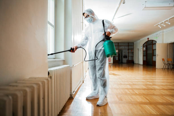 Best Pest Removal Services  in Temple, TX