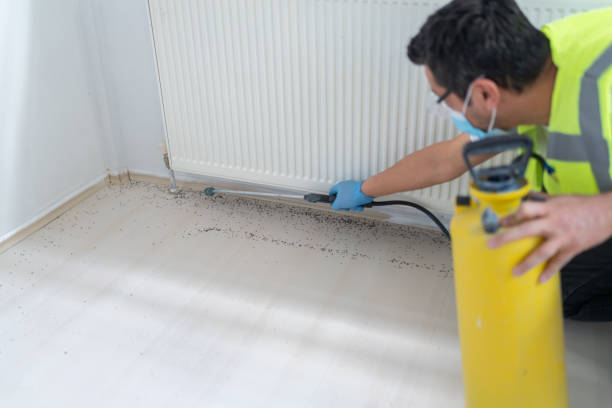 Best Bed Bug Extermination  in Temple, TX