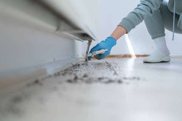 Temple, TX Pest Control Company